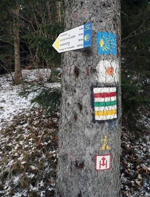 Gdzie Polacy wyjeżdżają na święta i sylwestra?