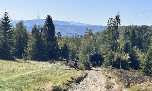 A przyroda taka piękna...