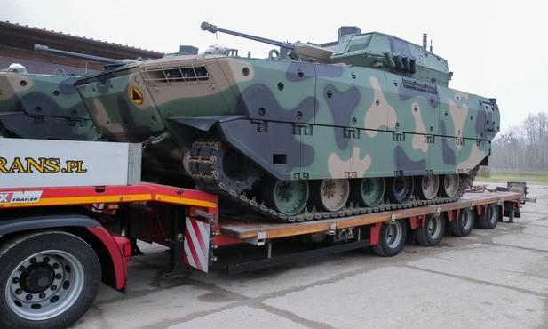 Borsuki w kamuflażu