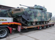 Borsuki w kamuflażu