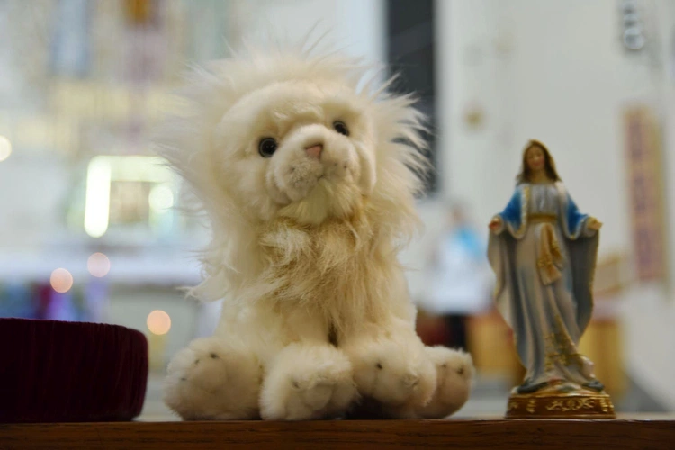 Św. Maksymilian w Smęgorzowie