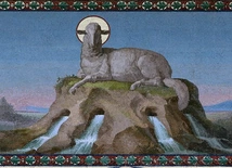 Pragnienie napojonych