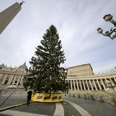 Zapalono światła na choince na placu Świętego Piotra