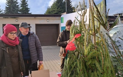 Choinki dla honorowych dawców krwi