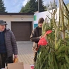 Choinki dla honorowych dawców krwi