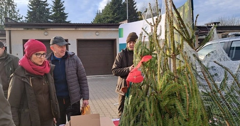 Choinki dla honorowych dawców krwi