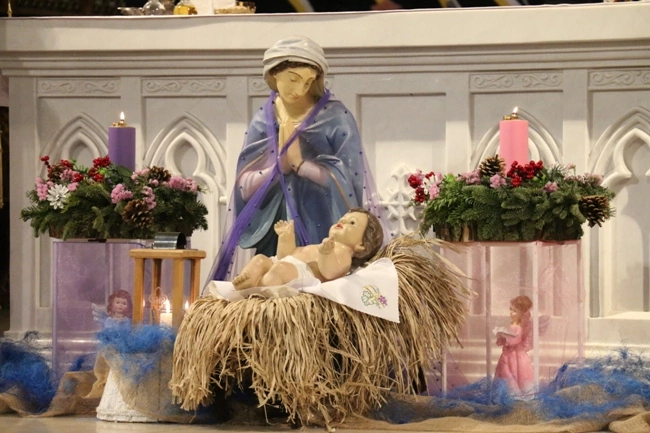 Msza św. za Radom i diecezję