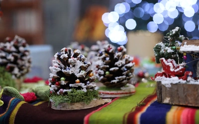 Konkurs kolęd w Puławach