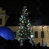 Kraków. Zabłysły światełka na choince pod oknem papieskim