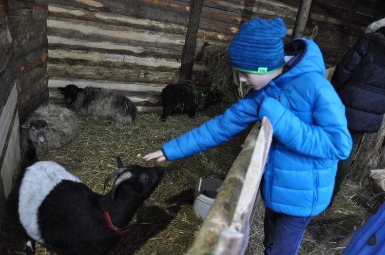 Kolędowanie przy stajence, w plenerze