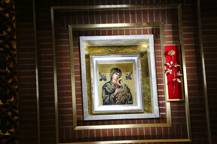 Róża dla Maryi