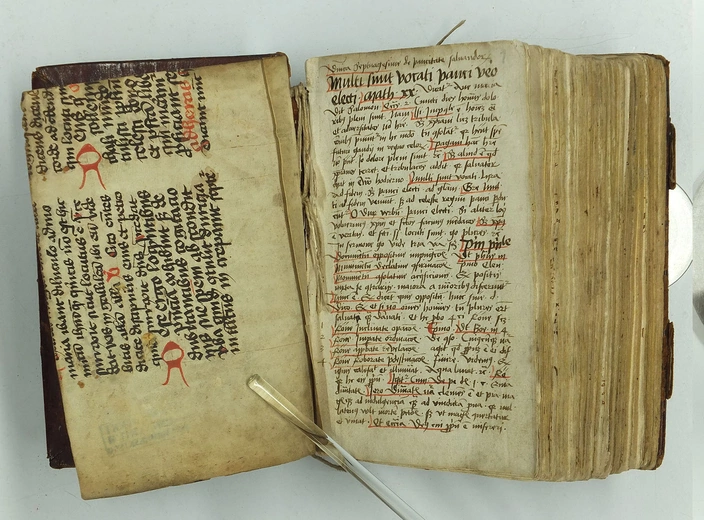 Kazania Klemensa z Radymna – przed konserwacją.