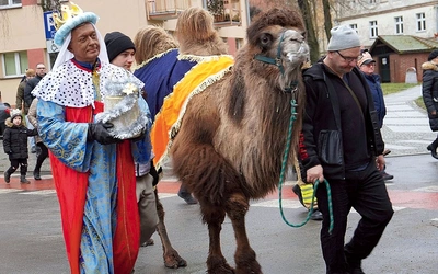 W tym roku monarchom towarzyszyć będzie hasło „Nadzieją się cieszą”. A tak było w ubiegłym roku w Oleśnicy. 