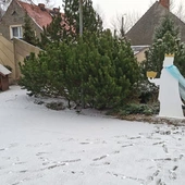 Będą kolędować z Trzema Królami i wspierać Hubercika