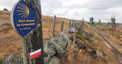 Szlak św. Jakuba bije rekordy popularności