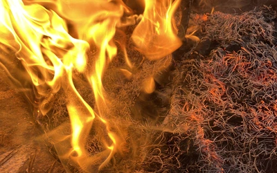 Odkryto ślady najstarszej kremacji w Afryce