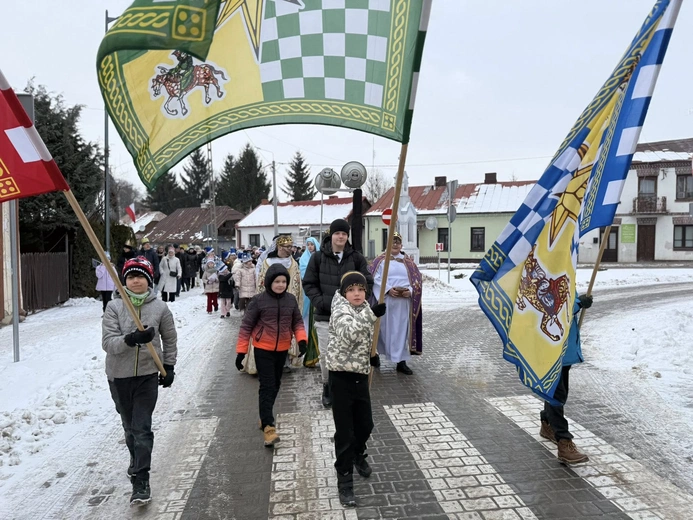 Orszak w Wąwolnicy