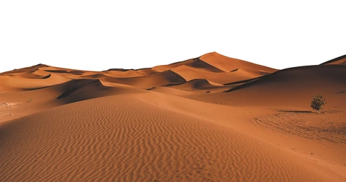 Święty Makary Wielki. Choć szukał odosobnienia, przyciągał tłumy spragnione duchowego pocieszenia