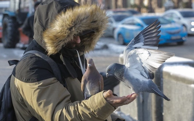 ONZ apeluje o finansowe wsparcia dla Ukrainy
