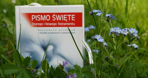 Wigilia Niedzieli Słowa Bożego w archidiecezji wrocławskiej