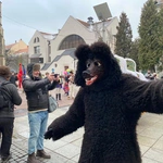 „Żywieckie Gody” na katowickich ulicach 