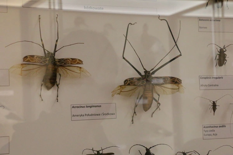 Biologia na wyciągnięcie ręki