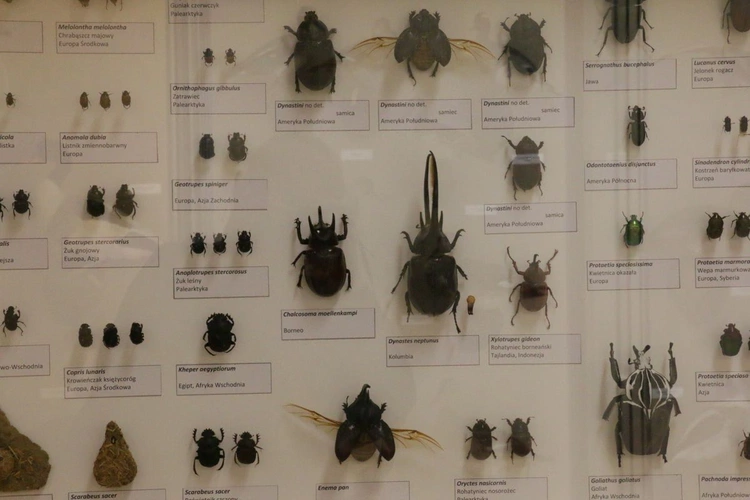 Biologia na wyciągnięcie ręki