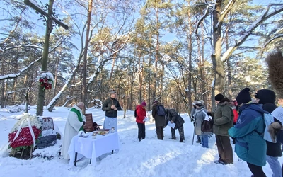 Kosy płoszyły konie