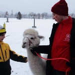 Archidiecezjalne Spotkanie Kolędników Misyjnych 2026 - cz. 2