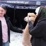 Archidiecezjalne Spotkanie Kolędników Misyjnych 2026 - cz. 2