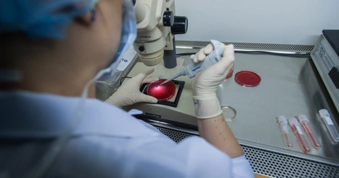 "Prawda o in vitro" - Fundacja Donum Vitae organizuje szkolenie dla księży i doradców rodzinnych