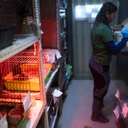 W warszawskim zoo otwarto Ptasi Punkt Przyjęć