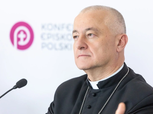 "Wyjaśnienie i Naprawa"