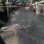 Z wizytą w Łódzkim ZOO