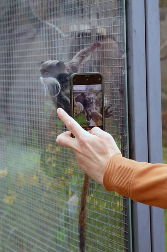 Z wizytą w Łódzkim ZOO