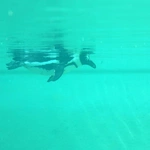 Z wizytą w Łódzkim ZOO