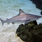 Z wizytą w Łódzkim ZOO