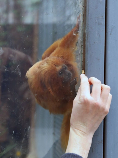 Z wizytą w Łódzkim ZOO