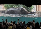 Z wizytą w Łódzkim ZOO