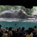 Z wizytą w Łódzkim ZOO