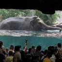 Z wizytą w Łódzkim ZOO