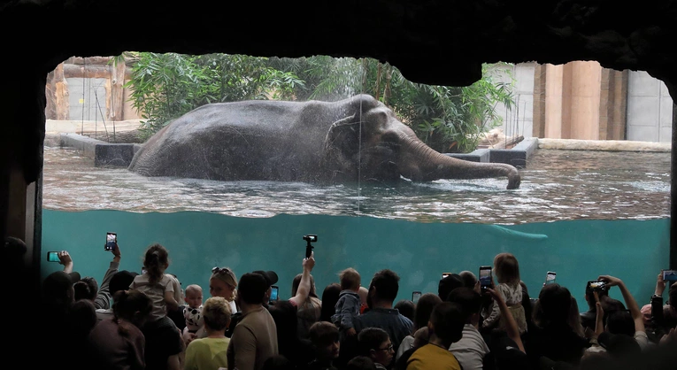 Z wizytą w Łódzkim ZOO