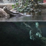 Z wizytą w Łódzkim ZOO