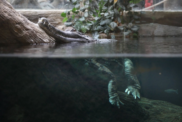 Z wizytą w Łódzkim ZOO
