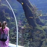 Z wizytą w Łódzkim ZOO