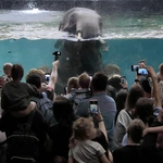 Z wizytą w Łódzkim ZOO