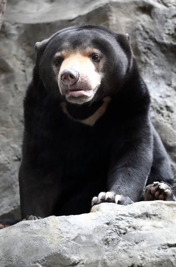 Z wizytą w Łódzkim ZOO