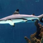 Z wizytą w Łódzkim ZOO