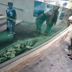 Z wizytą w Łódzkim ZOO