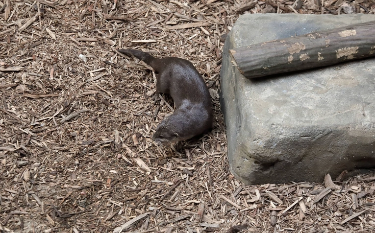 Z wizytą w Łódzkim ZOO